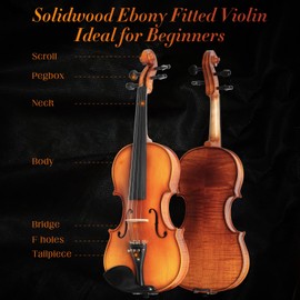 Ceciliec Violin For Beginners, CVN-500 Solidwood Ebony Fitted Starter Violins Kit For Student w/Hard Case, Rosin, Bow, Size 4/4 (Full Size)