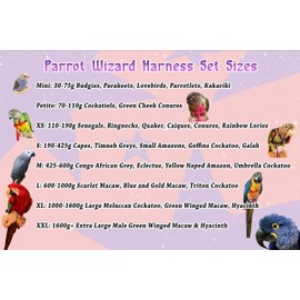 Parrot Wizard Bird Harness Set (XL, Blue)