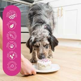 Puppy Cake Cuppy Cake - Microwave Dog Birthday Cake in a Cup for Dogs - Just Add Water & Microwave, Ready in 2 Minutes C All Natural (Birthday Cake Flavor with Pupfetti Sprinkles) Made in USA - Woman Owned