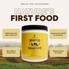 Ancestral Supplements Bovine Colostrum Powder - Grass Fed, Freeze Dried,