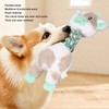 Pet Chewing Toy Bite Resistant Interactive Squeaky Pet Biting Toy