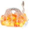 HeaHap Himalayan Salt String Lights with Switch, 20 Natural Salt