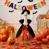 3Pcs Halloween Porch Goose Outfit Pumpkin Dress Witch Cape Hat