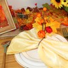 HADDIY Thanksgiving Napkin Ring, Fall Napkin Rings Set of 6