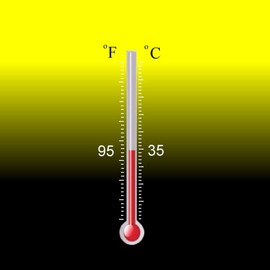 Temperature Activated Body Heat Reactive Color Changing Thermochromic Fabric Paint 6 oz, BLACK changing to YELLOW at 95⁰F (35⁰C)