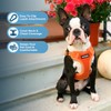 Best Pet Supplies Voyager Adjustable Dog Vest Harness Breathable No