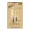 Feit Electric 40-Watt T8 Dimmable Incandescent Amber Vintage Edison Light