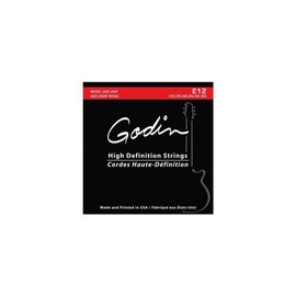 Godin Guitars 33416 Phosphor Bronze Electric Guitar Strings Jazz Light