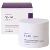 Moisturizing women's snail large-capacity cream that soaks in like water 100ml / 물처럼 스며드는 보습 여성 스네일 대용량 크림 100ml