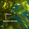 SUPERthrive Original Plant Vitamin Solution with Kelp for All Plants,