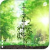 protanic Tomato Rod Plant Support Trellis with Plant Clips