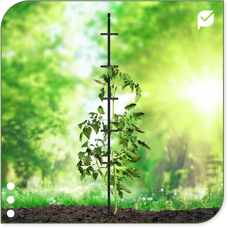 protanic Tomato Rod Plant Support Trellis with Plant Clips