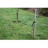 Haxnicks Strimguard | Tree Trunk Protectors | Cover For Young