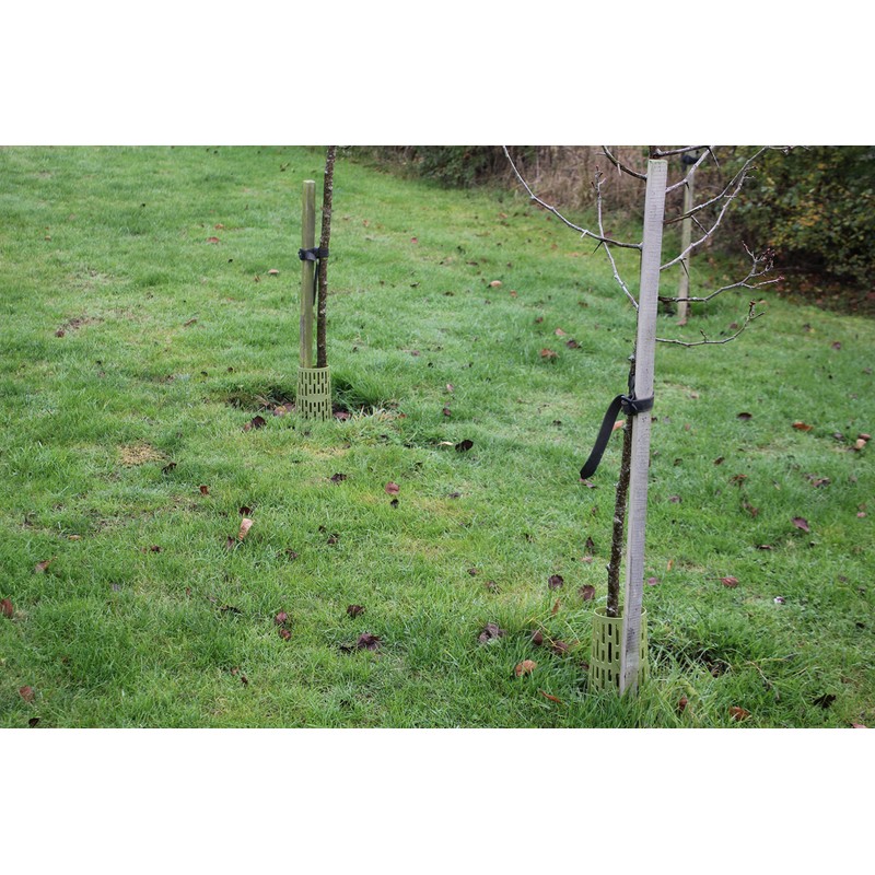 Haxnicks Strimguard | Tree Trunk Protectors | Cover For Young