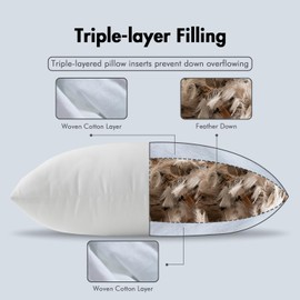 MIULEE 20x20 Pillow Inserts, Pack of 2 Feather Throw Pillow Inserts, Decorative Fluffy Throw Pillows Cotton Fabric for Living Room Sofa Bed
