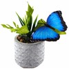 BWG Garden Clip On Butterflies - Plastic 13cm Wing (Set