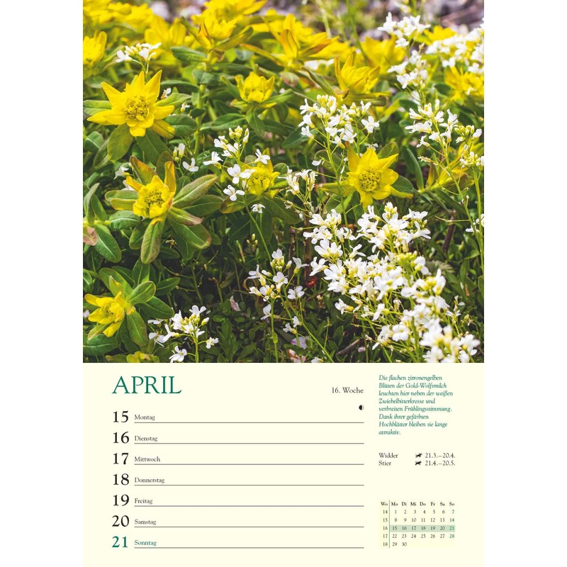 WK 2024 A Year in My Garden: With Many Useful