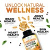 Turmeric Curcumin Supplement - 2000mg Organic Turmeric Per Serving -