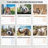 Animal Selfies Calendar 2026 A4 12 Month to View Wall