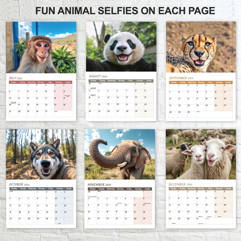 Animal Selfies Calendar 2026 A4 12 Month to View Wall