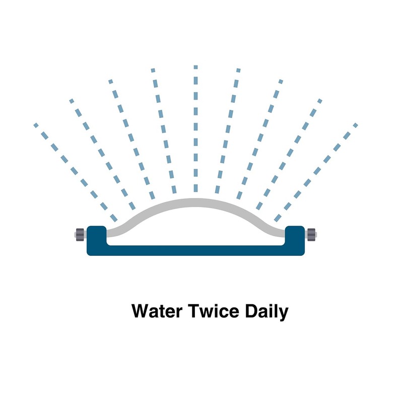 Amturf Roll & Grow Wildflower Garden Blanket, Butterfly Mix, 1'