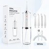 Portable Water Flosser for Daily Oral Cleaning – 3 Cleaning