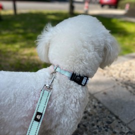 FURRYFECTION Reflective Dog Collar and Leash Set with Quick Release Buckle, Padded with Neoprene Adjustable Nylon Dog Collar for Small Medium and Large Dogs (Small Collar+5FT Leash, Blue)