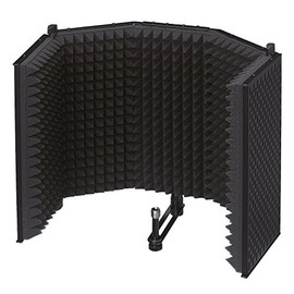 Tascam TM-AR1 Microphone Reflection Filter