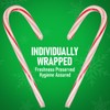 Peppermint Candy Canes, 4 Packs of Candy Canes in Bulk