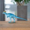pachycephalosaurus (fdw-022)