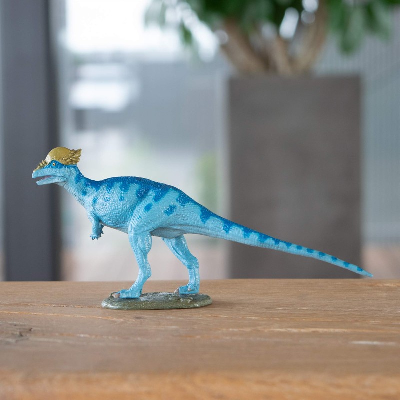 pachycephalosaurus (fdw-022)