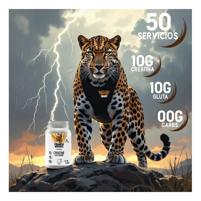 Suplemento Creatina Glutamina Polvo Stormcheetah 1kg 50ser