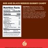 Berries Gummy Candy, Crunchy Raspberry and Blackberry Chews, 1-Pound Bag