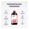 HEBBE COSMETICS CSVD8 Fenoxietanol Protectol Pe Co Conservante Cosmético 500