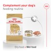 ROYAL CANIN, Adult - Chihuahua, Croquetas para Perro, 1.1kg