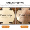 Flea Trap Refills 10 Packs, Flea Trap for Inside Your