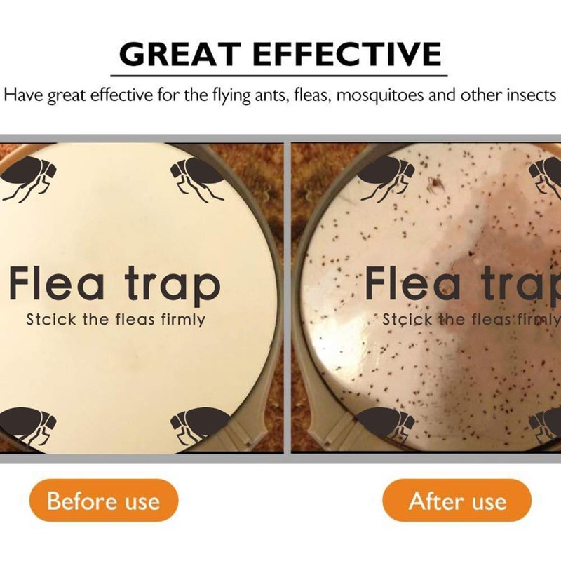 Flea Trap Refills 10 Packs, Flea Trap for Inside Your