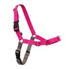 PetSafe Easy Walk Arnés Antitirones para Perro Frambuesa/Gris Talla M