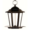 Woodlink NA11132 Audubon Carriage Wild Bird Feeder, 8-1/2-Inch, Black