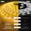 NOVOSTELLA 20ft Waterproof Tunable White LED Strip Lights, Dimmable Flexible