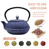 SECHUDO Cast Iron Teapot Tea Kettle with Stainless Steel Infuser