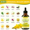 Mullein Drops For Lungs, Liposomal 14 In 1 Mullein Leaf