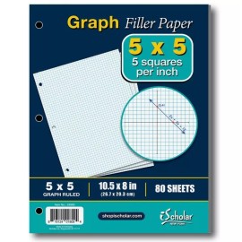 iScholar *4 Pack* iScholar Quad Filler Paper 5 Squares per Inch, 10.5"x8" 80 Sheets E10G