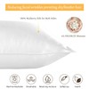 Since Silk Silk Cushion Cover, 22 Momme Double-Sided 100% Mulberry