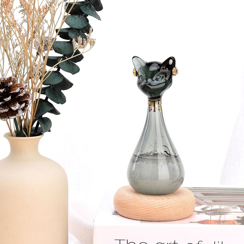 Weather Predictor Cat Bottle Black Ergonomic Rugged Glass Weather Predictor