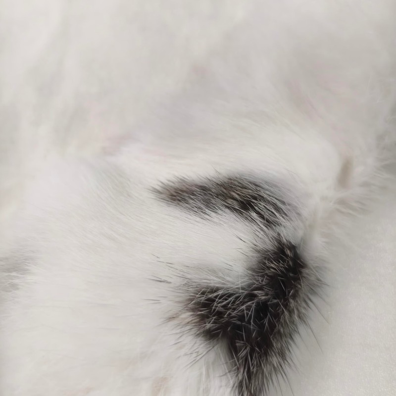 Bulk Craft Rabbit Pelt Fur Skin (4-Pack) - Premium Rabbit
