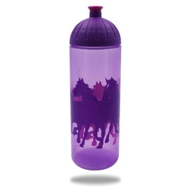 Isybe non-toxic, dishwasher safe and leak-proof drinking bottle., purple, 700 ml