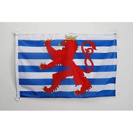 Luxembourg red lions Flag 2' x 3' for outdoor - Luxembourger coat of arms flags 90 x 60 cm - Banner 2x3 ft Knitted Polyester with rings - AZ FLAG