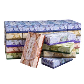 Silky Soft T100VAP 2-Ply Facial Tissues in a Box, White, 90 Count (Pack of 30)