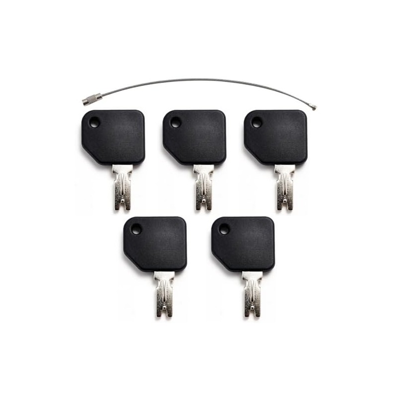 feishunteng 5PCS 166 Forklift Ignition Keys – Compatible with Hyster,